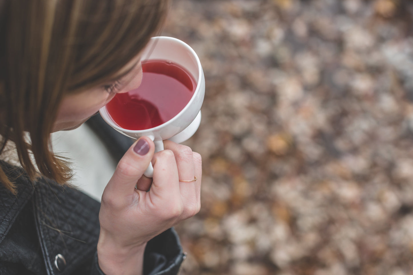 Kukicha Twig Tea